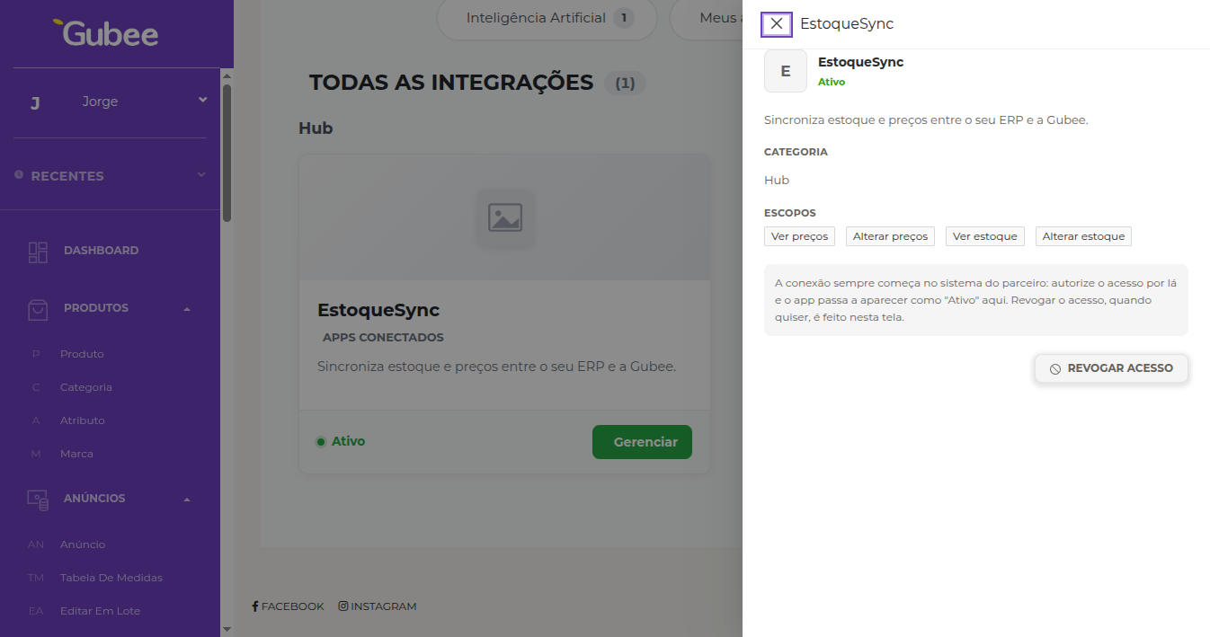 Detalhe de um app conectado, com a ação de revogar